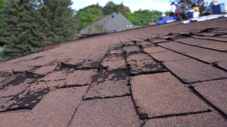 Best Roof Maintenance and Cleaning  in Santa Teresa, NM